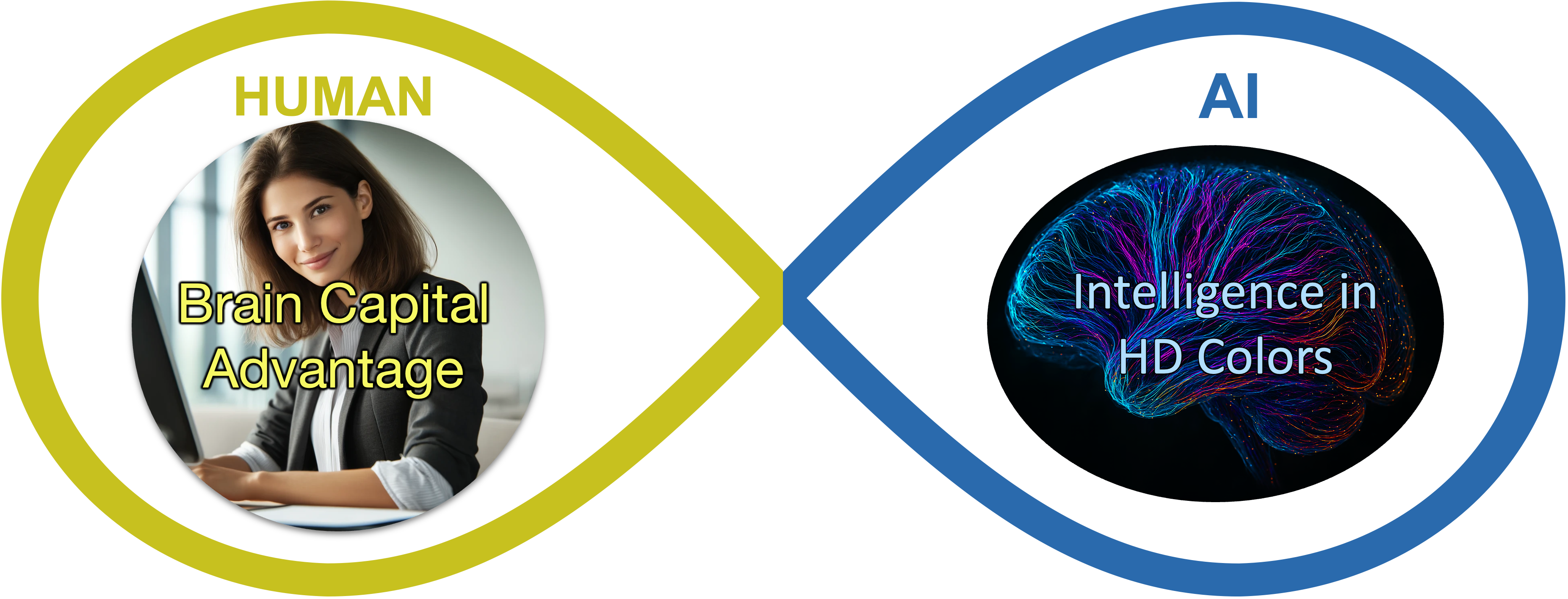 Intelligence in Full Color — the codified state
